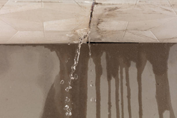 Professional Structural Drying technician working in Darwin, MN
